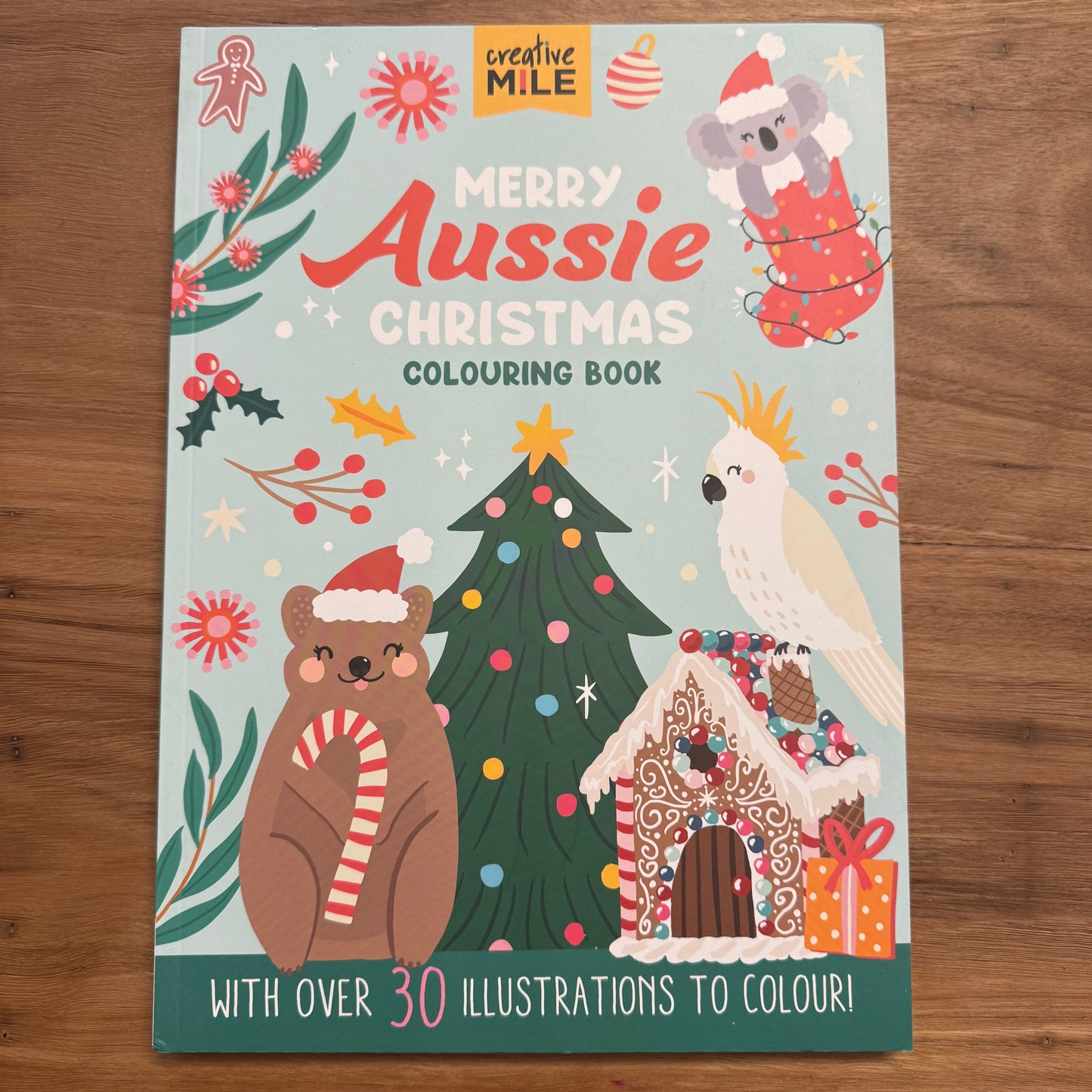 Merry Aussie Christmas Colouring Book