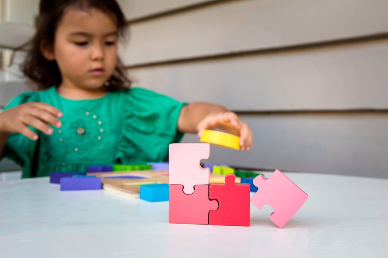 Kiddie Connect Jigsaw Shape Fraction Puzzle