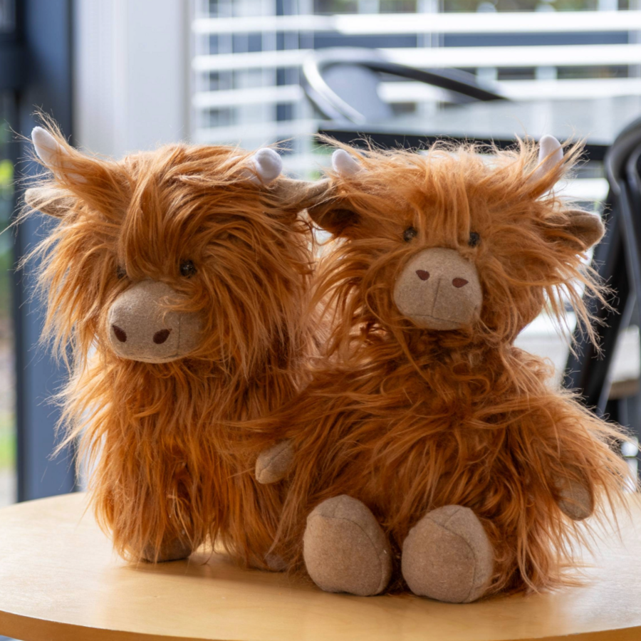 Lily and George Little Mac the Highland Cow