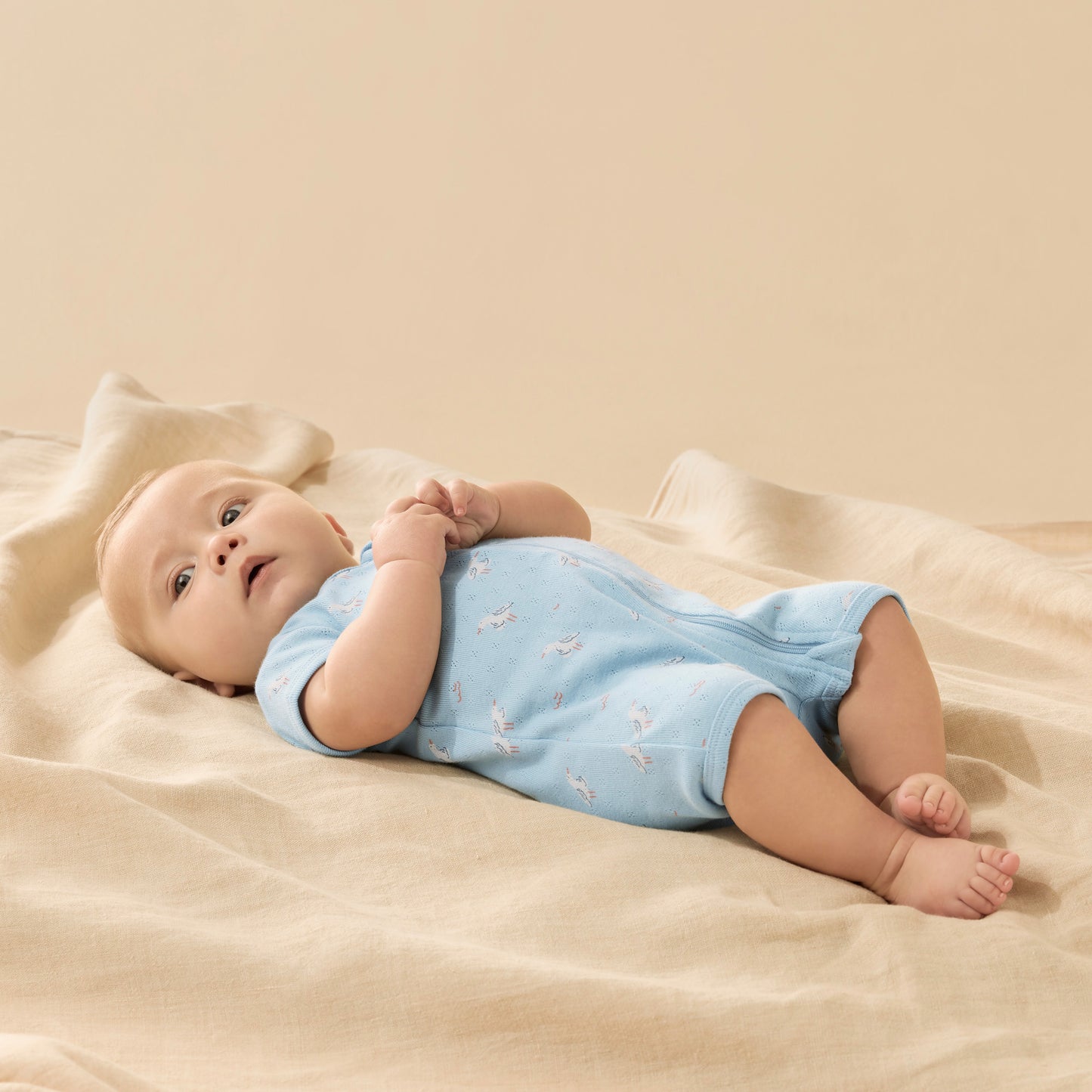Wilson & Frenchy Sunny Seagulls Organic Pointelle Boyleg Zipsuit