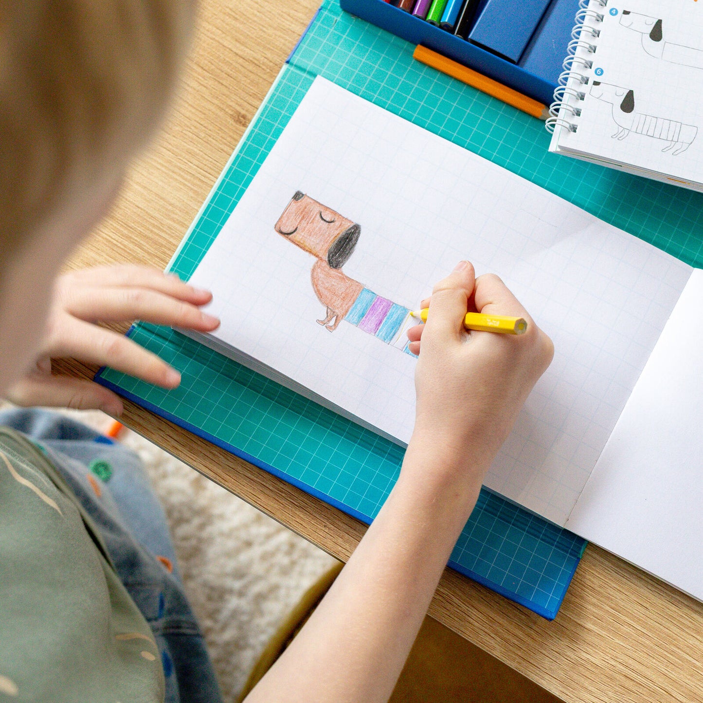 Tiger Tribe How to Draw - Animals