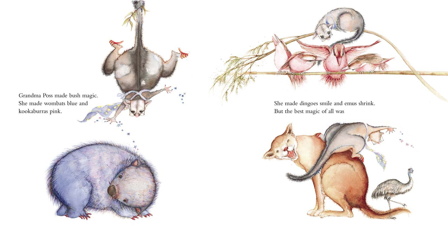 Possum Magic (40th Anniversary Edition) - Mem Fox