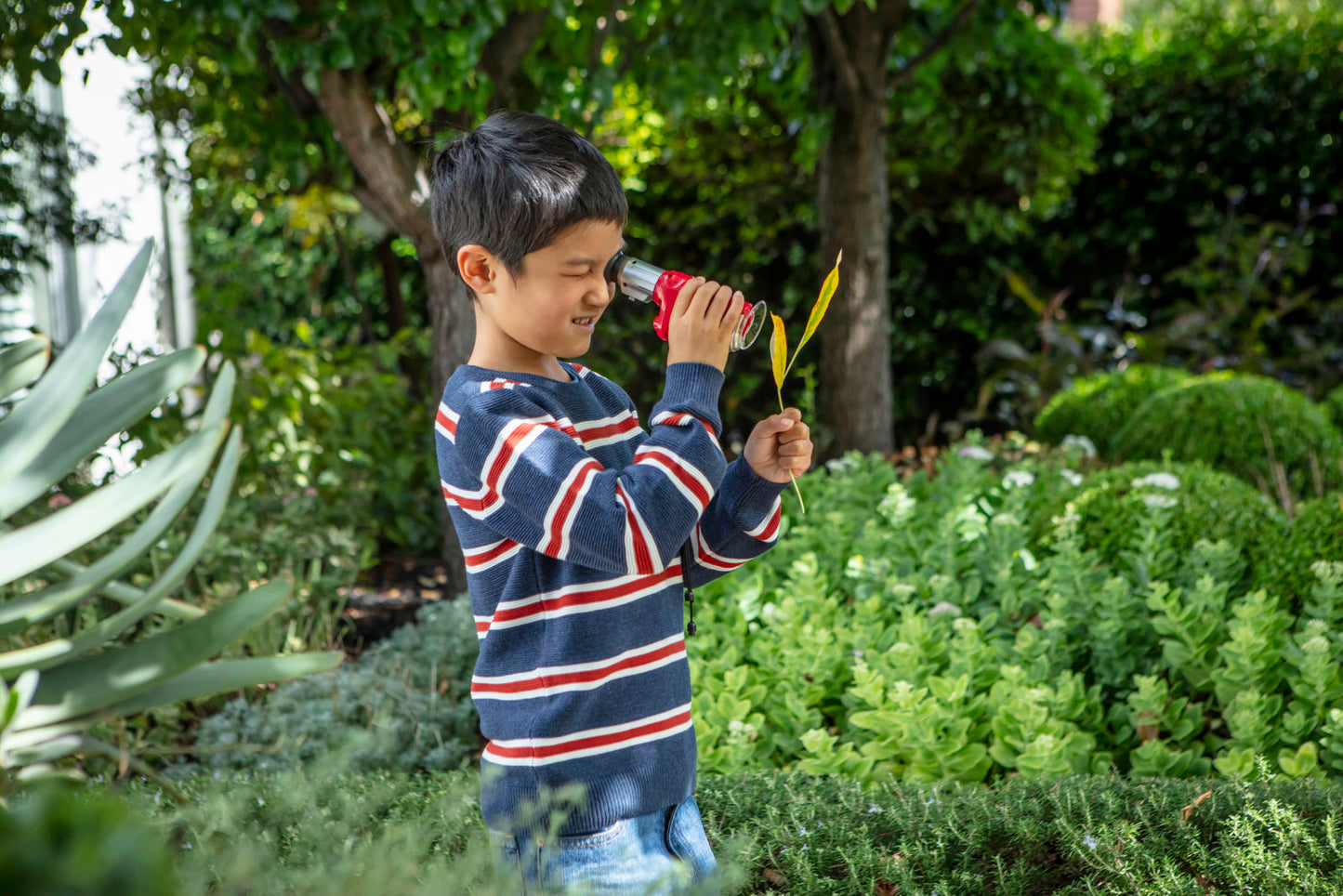 Tiger Tribe Explorer Microscope Set