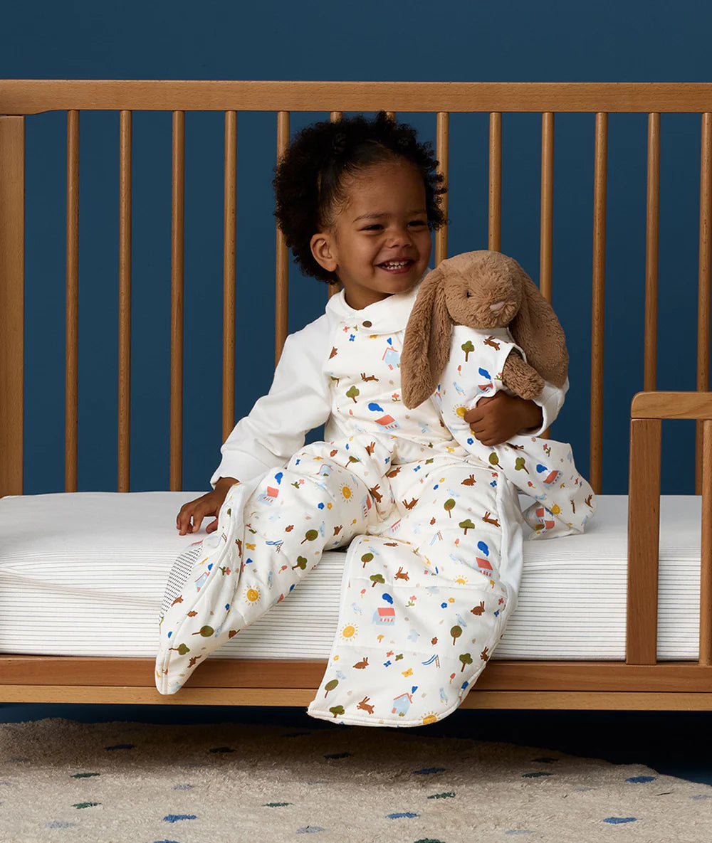 ErgoPouch Sleep Suit Bag 2.5 tog Day Dream