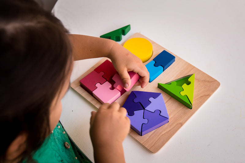 Kiddie Connect Jigsaw Shape Fraction Puzzle